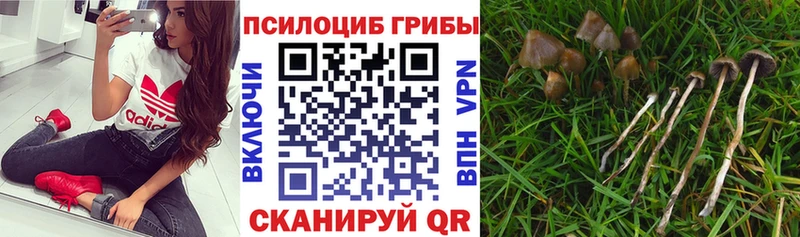 Псилоцибиновые грибы мухоморы  это телеграм  Колпашево 